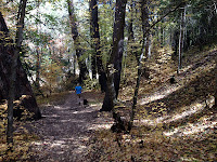 Marshall Gulch colors October 2012