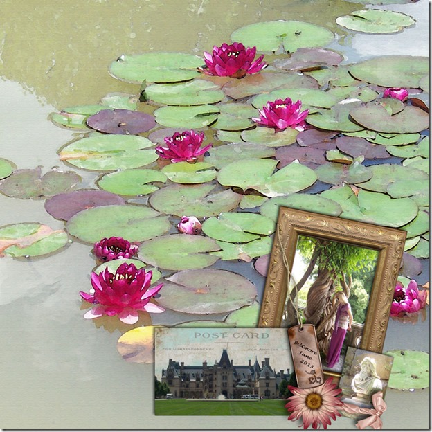 Biltmore_Lilies