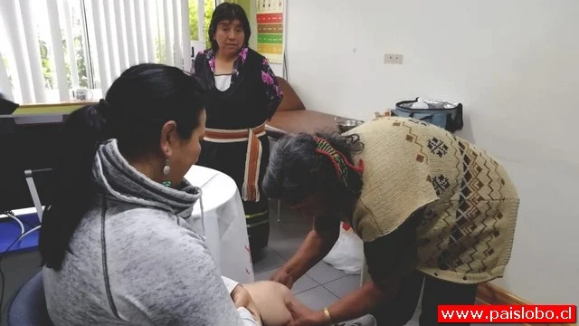 Salud tradicional del Pueblo Mapuche Huilliche al alcance de todos