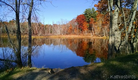 18. 10-31-15 Papermill pond