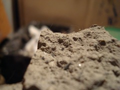 DSC02131
