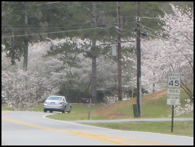 March24street