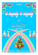 چیدہ چیدہ