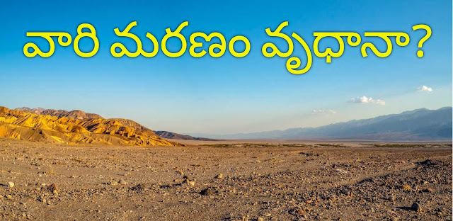 ఇద్దరు వ్యక్తుల అద్భుతమైన సమర్పణ గురించి ఈరోజు వాక్యధ్యానంలో తెలుసుకుందాం!