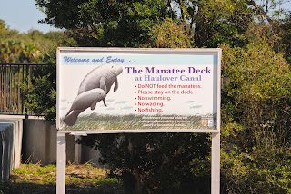 Afbeeldingsresultaat voor manatee observation deck merritt island