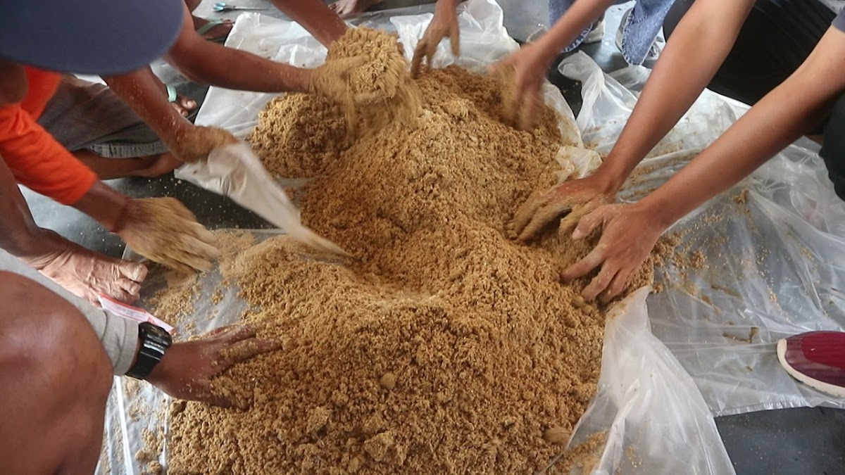     Harga Bahan Baku Pakan Ikan Impor Naik, Akademisi Unwar Perkenalkan Pakan Fermentasi Berbahan Dedak