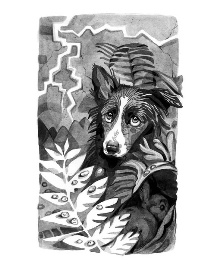 05-Lost-little-dog-Animal-Drawings-Aliz-Buzas-www-designstack-co