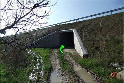 Túnel bajo la carretera