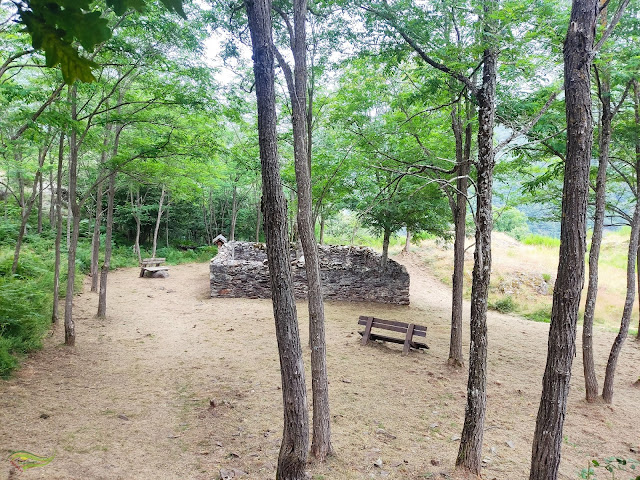 Ruta del Bosque Encantado de Carlac (Valle de Arán)