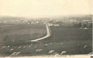 pays basque autrefois basse-navarre ovin mouton
