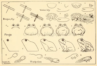 Tahapan-menggambar