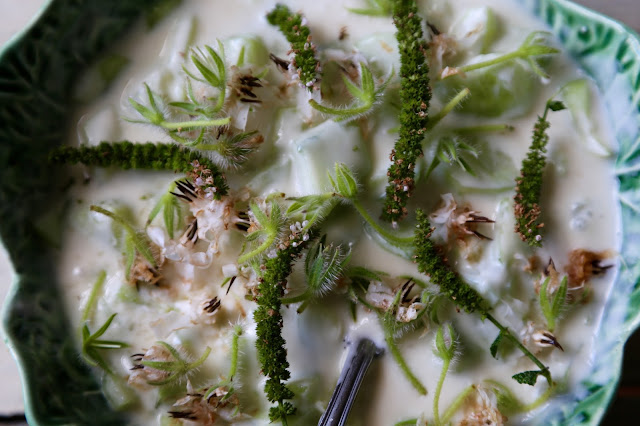 borage flower and mint flower tzaziki