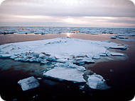 Canada's Arctic