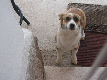 Mi foto