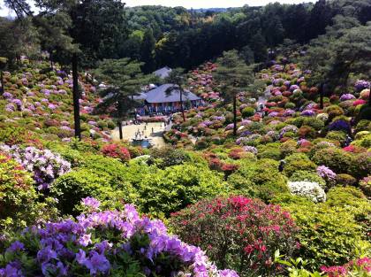 とあるブロガーの備忘録 仮 ファンタジーな寺 ファンタジーな谷
