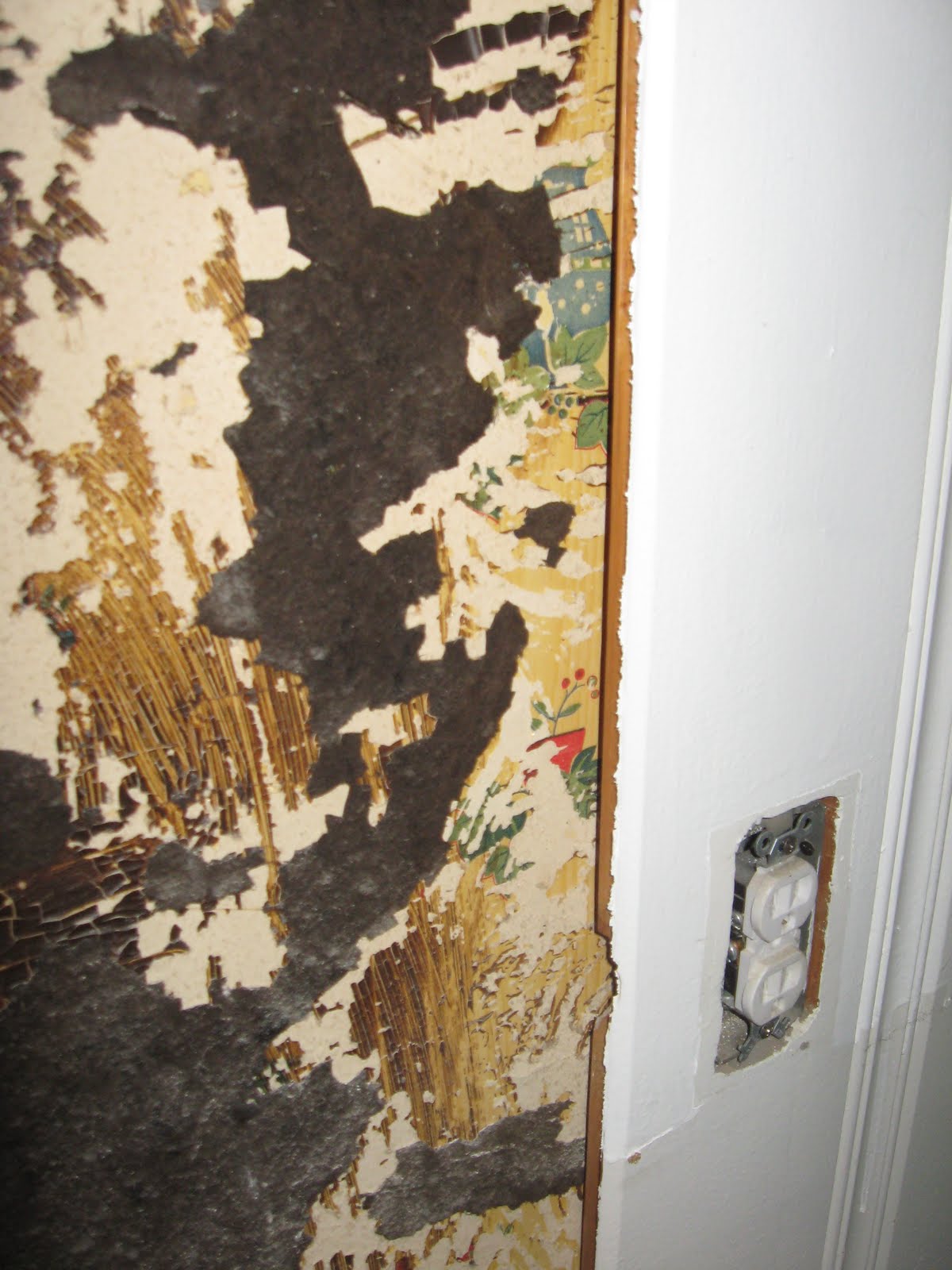 hd-wallpapers-hd: Wallpaper Glue Removal Plaster Wall