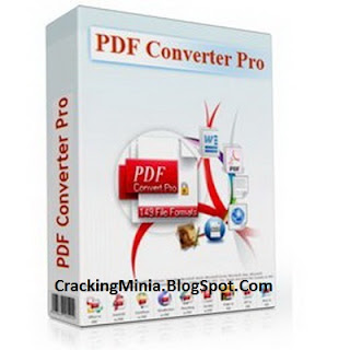PDF Converter Pro 11.00 Portable 