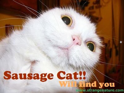 Funny Animal on Funny Animal Pictures   Strangenature Com  Funny Animals With Captions