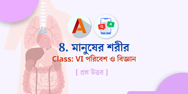 [QnA] মানুষের শরীর ক্লাস VI | Class 6 Poribesh Chapter 8 | প্রশ্ন উত্তর ক্লাস সিক্স