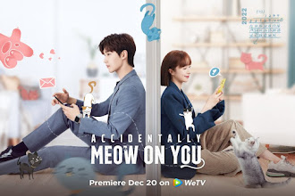 [DRAMA] Los gatos te ayudan a encontrar el amor en "Accidentally Meow On You (一不小心喵上你)"