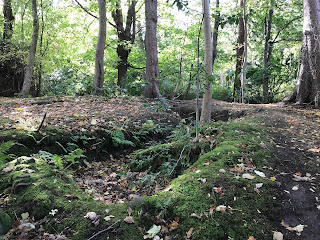 A view of the remains of one of the trenches at Dreghorn Woods - it looks like a gouge in the earth.  Photograph by Kevin Nosferatu for the Skulferatu Project.