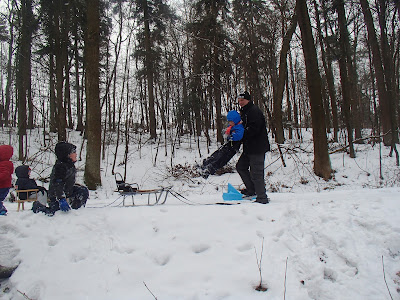 zimowy spacer, zabawy na śniegu, śnieżyca w lesie