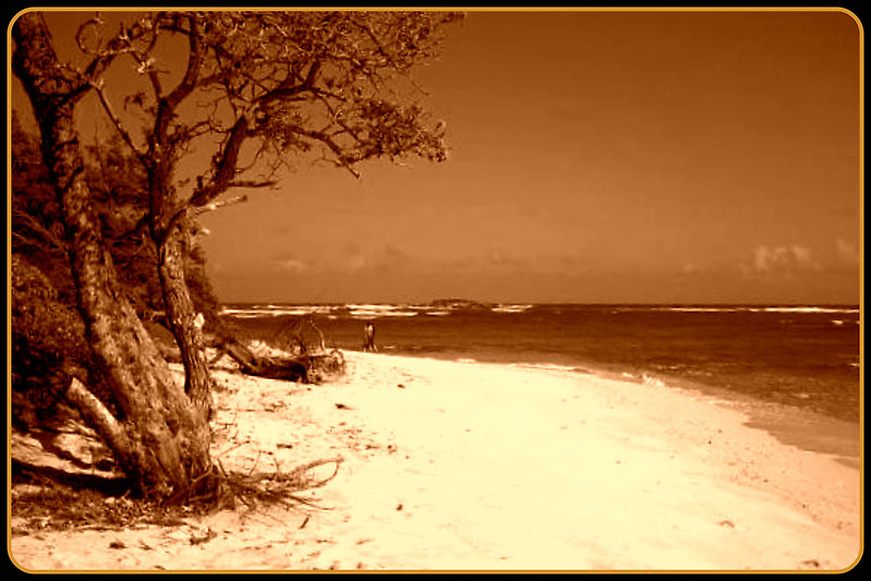 White Sandy Beaches of Hawaii