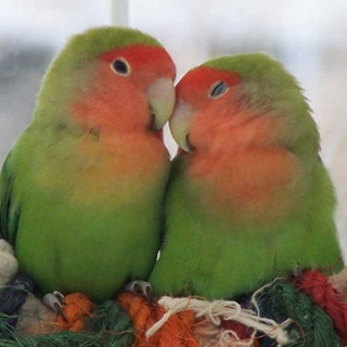 love2222