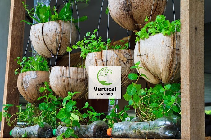 Hanging Vegetable Garden: A Guide to Growing Fresh Produce