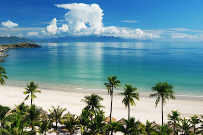 Playa linda con palmeras, aguas cristalinas y arena blanca