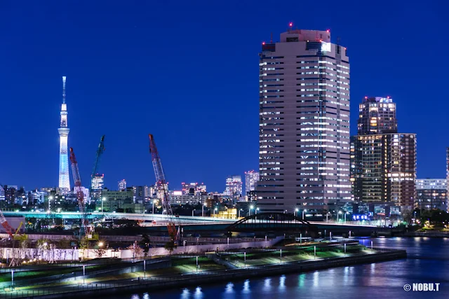 晴海大橋からの東京スカイツリー