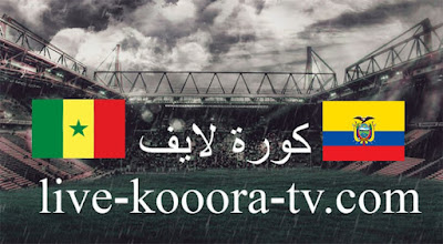 مباراة الإكوادور والسنغال