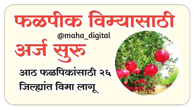  फळपीक विम्यासाठी अर्ज सुरु l Application for fruit crop insurance started