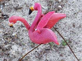 plastic flamingos on beach