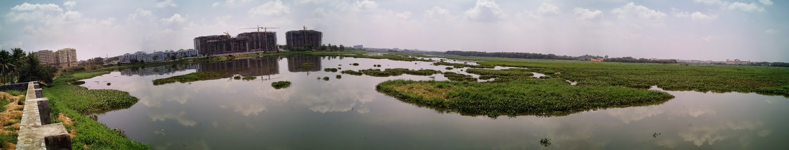 Bellandur Lake - largest lake of Bengaluru 