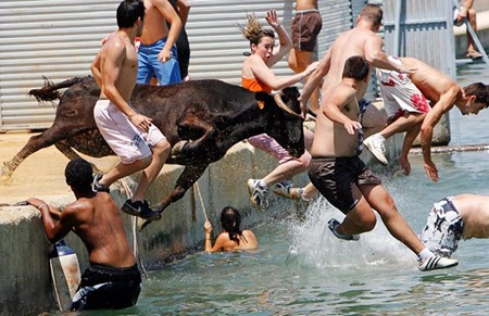 people-bulls-water_1437818i