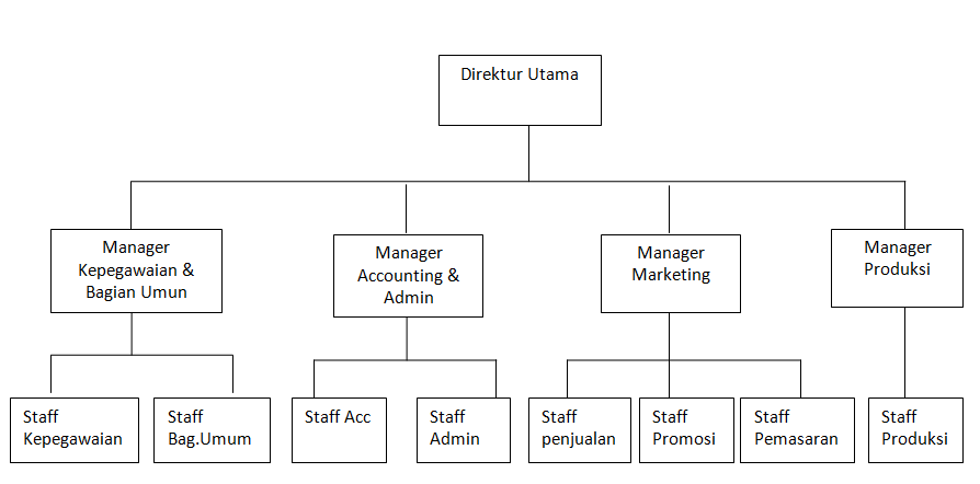 Struktur organisasi management