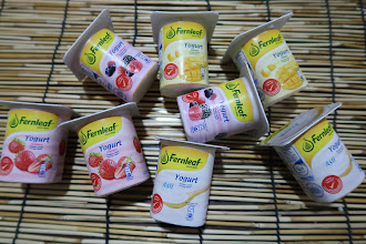 Fernleaf Yogurt sebagai snek harian