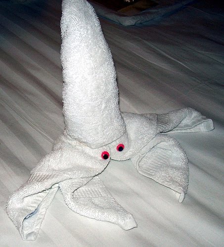 towel animal origami 