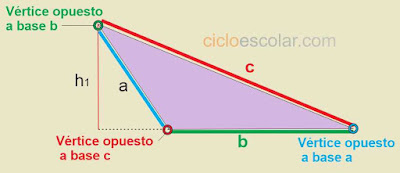 determinar los vértices opuestos a su base