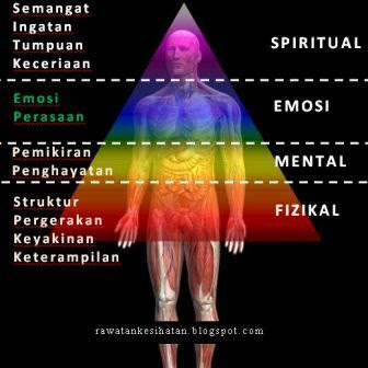 Level personaliti dinamakan berdasarkan kombinasi karektor organ dalam kumpulannya