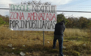 Defensores realizan jornada de limpieza en el bosque El Nixticuil