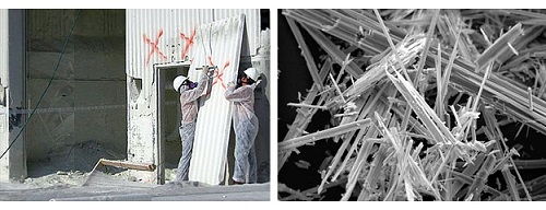 directory of asbestos removal companies