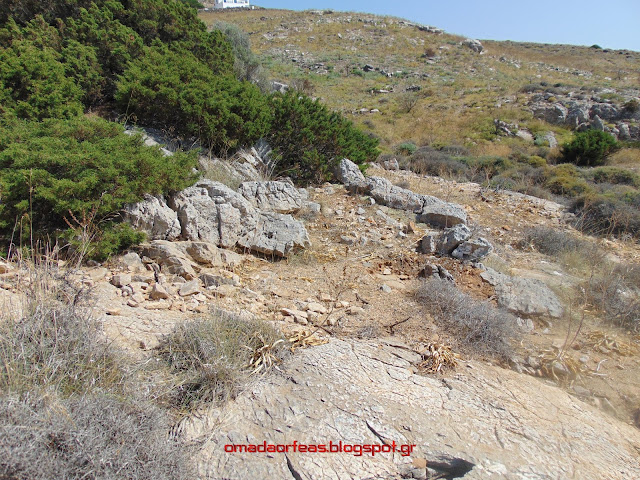 ΕΚΚΛΗΣΑΚΙ ΑΓΙΟΥ ΣΤΕΦΑΝΟΥ, ΣΥΡΟΣ, ΓΑΛΗΣΣΑΣ