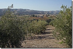 SLO Visitors Guide 050