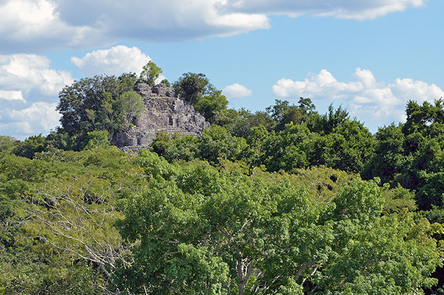 Vue sur la canopée à Cobá