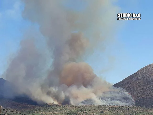 Σε υψηλό κίνδυνο πυρκαγιάς την Δευτέρα 31/8/ η Αργολίδα