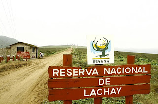 LOMAS DE LACHAY HUACHO 
