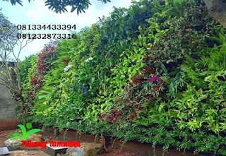 tukang taman purworejo dan jasa taman purworejo