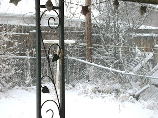 Snowy Yard